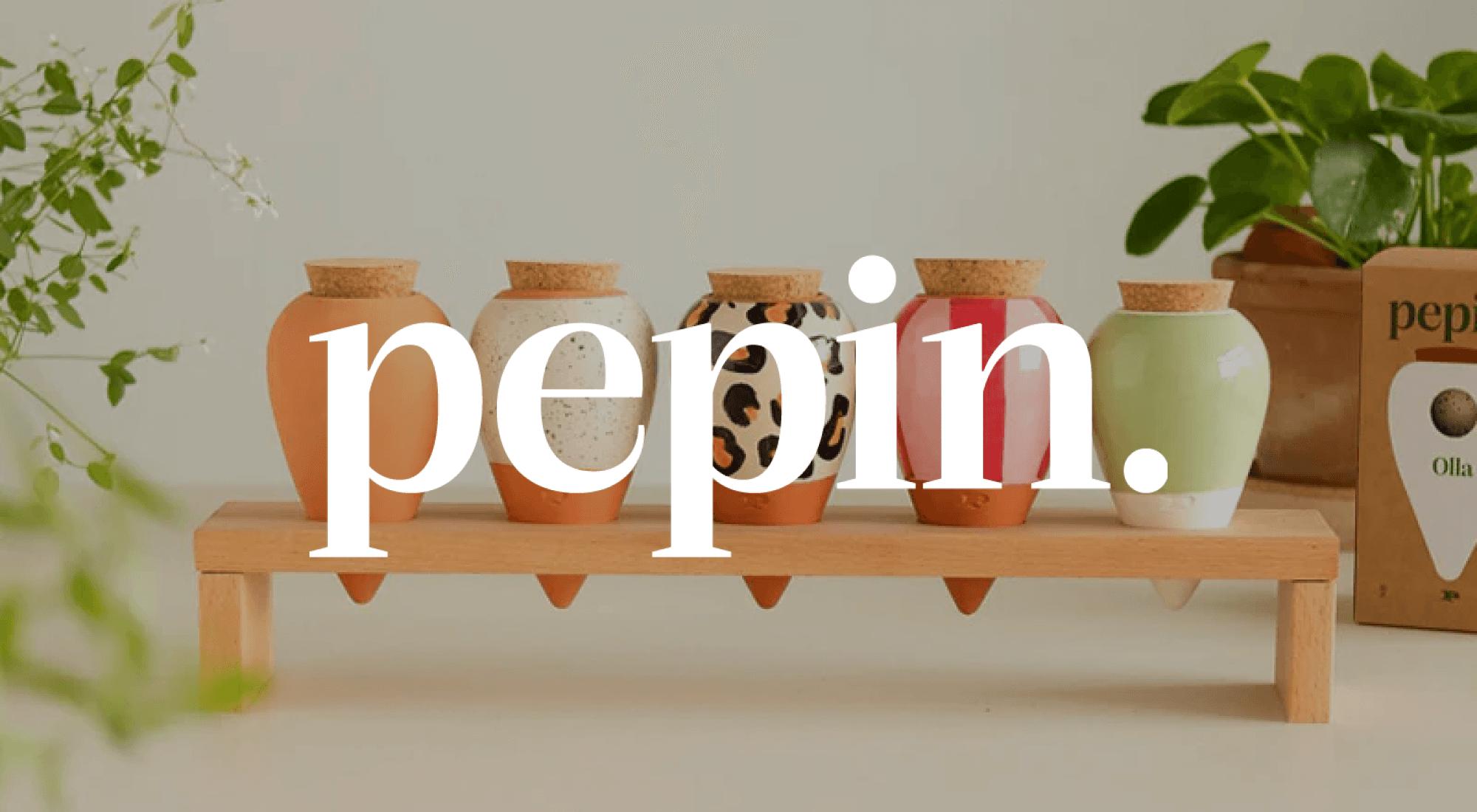 Pepin