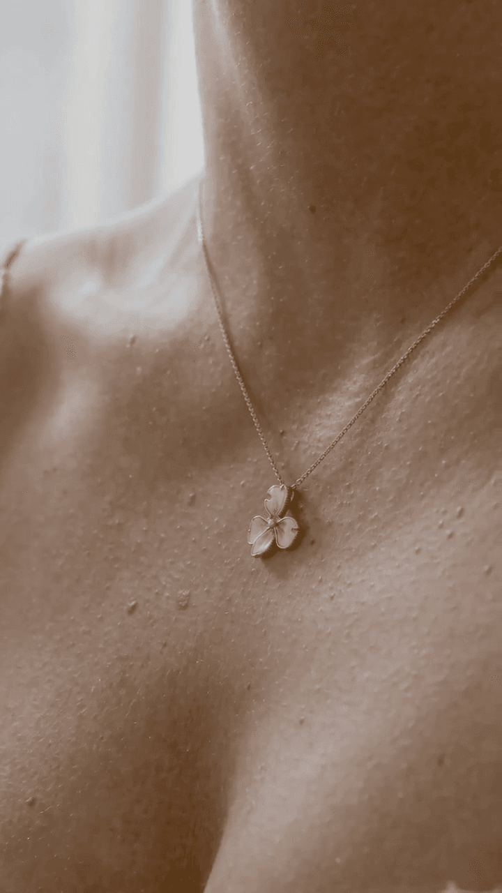 Close-up
